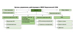 Структура образовательной организации